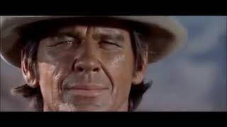 Hunter Quinn -  Country Gold