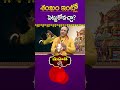 Can I Keep A Conch Shell At Home Mahathi Bhakthi 