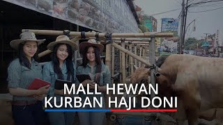 Berburu Hewan Qurban di Mall Haji Doni Part 1