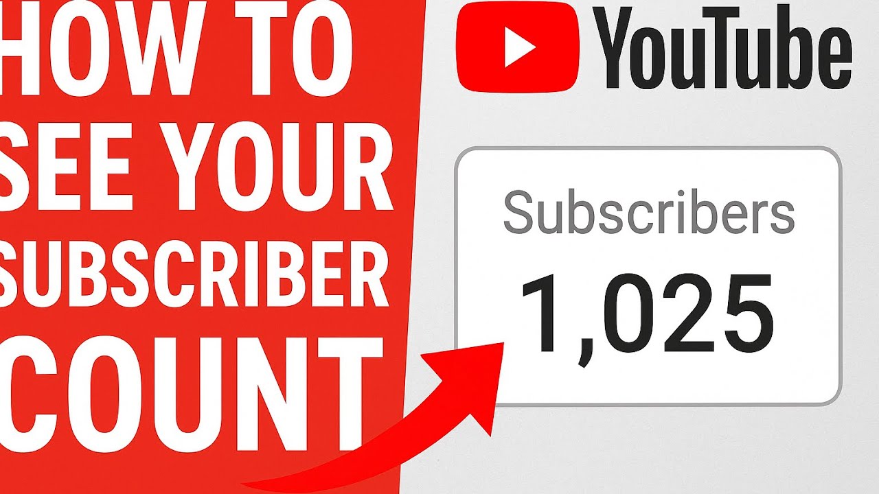 How to check your subscriber count (step-by-step) - YouTube