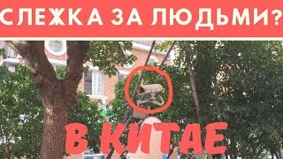 ТОТАЛЬНАЯ СЛЕЖКА В КИТАЕ /// НИКИТА ТИХОНОВ