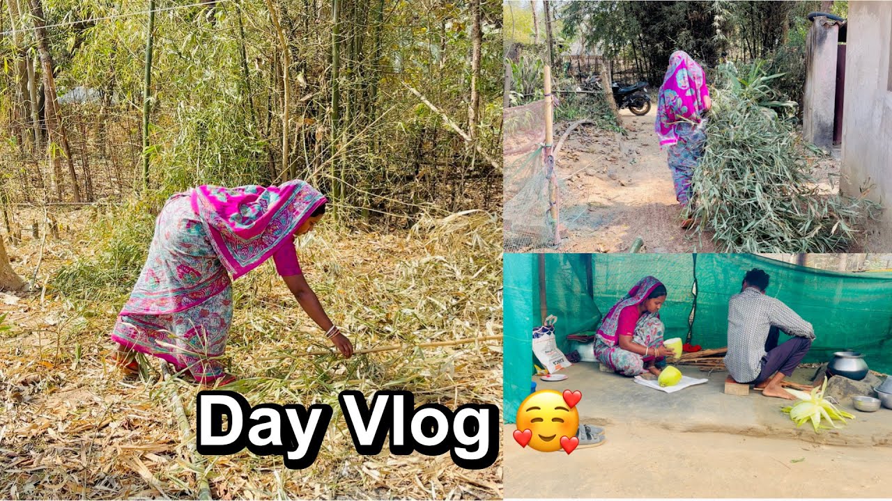 Saturday Day Vlog 🥰 l இப்பவரைக்கும் husband க்கு எடுத்திருக்க டெஸ்ட் , Health update பாருங்க.