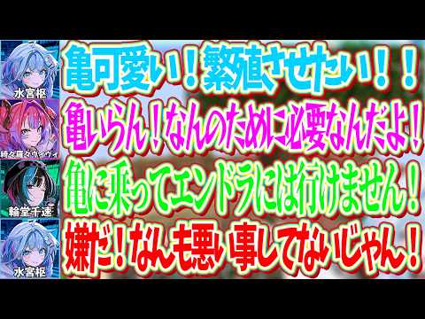 亀を必要と思ってない千速とヴィヴィにどうしても飼いたいと駄々をこねる枢ｗ【ホロライブ切り抜き/水宮枢/輪堂千速/綺々羅々ヴィヴィ】
