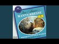 Schubert Winterreise D 911 No 13 Die Post mp3
