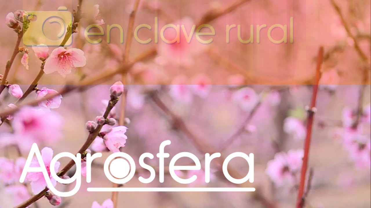 Turismo rural Ulea / Murcia | Agrosfera