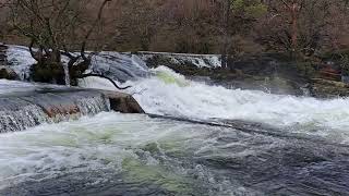 Ogwen Bank