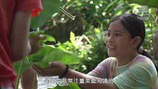 2023 Pulima藝術節 Misakorengay 製陶的人 採集即為創作的開始