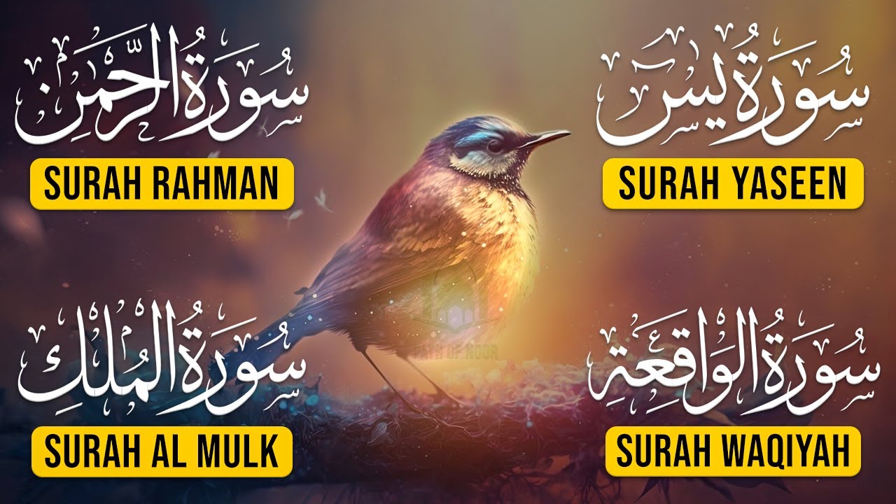 Surah Yasin | Surah Rahman | Surah Waqia | Surah Mulk | Full HD | Path Of Noor