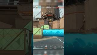 Mako Picks Sage = Instant #ace  #gaming #valorant #vandal #bind #teleport #side #sage #cross #4k #1k