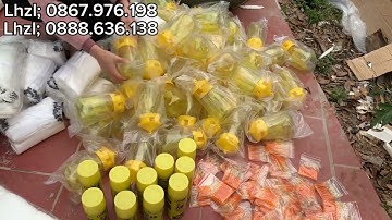 👍🔥TÚI LƯỚI MÍT THÁI , BAO BỌC TRÁI , BÌNH BẪY RUỒI VÀNG SIÊU TIỆN ÍCH 🔥👍