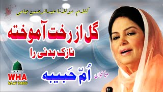 Gul Az Rukhat Aamokhta Umme Habiba || Farsi Kalam Maulana Abdul Rahman Jami || WHA NAAT RANG