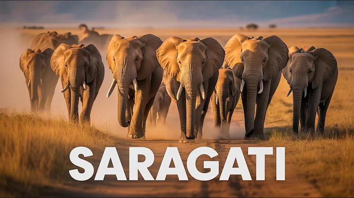 Exploring Tanzania’s Elephant Trails Stunning Drone & Wildlife Footage #tanzania #documentary