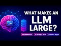 What Makes a Large Language Model (LLM) “Large”?