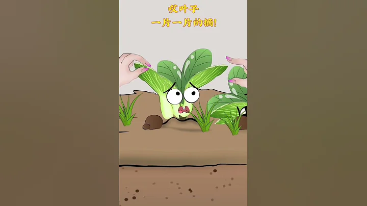 你知道嗎？油菜採摘時，葉子摘掉留住菜芯，它就會長高哦！ - 天天要聞