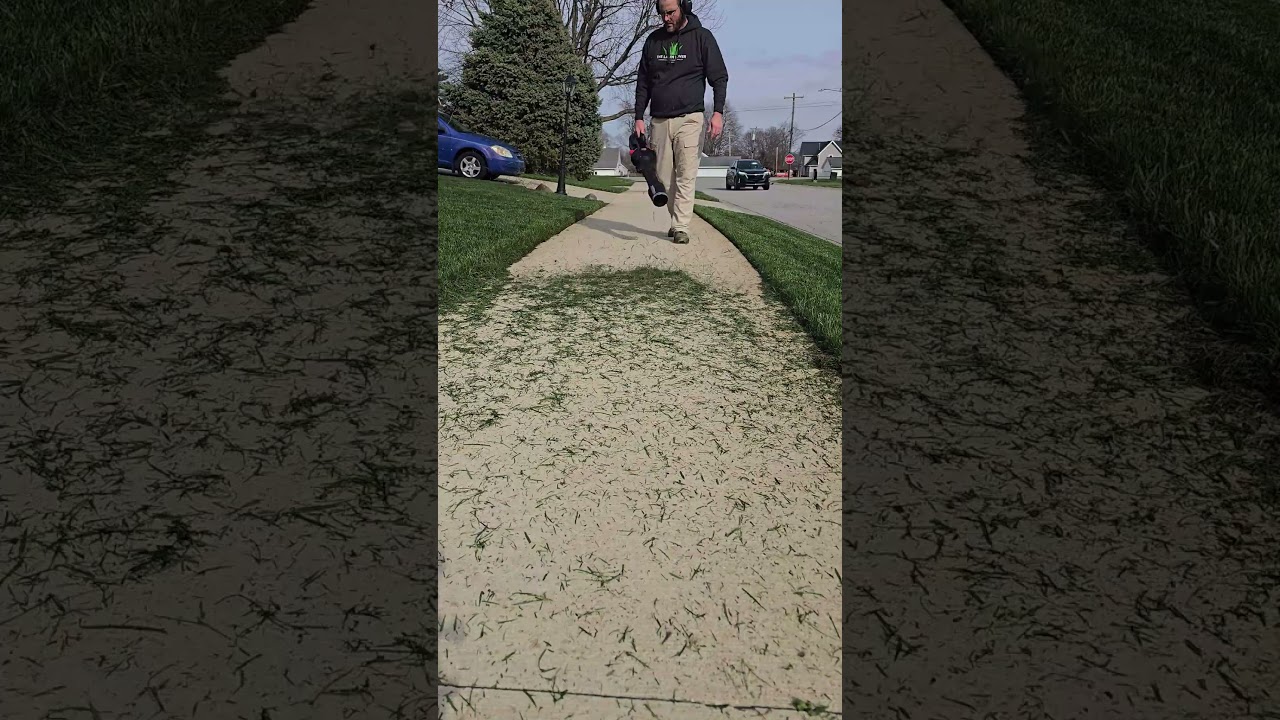 This Lawn Went From Messy to Perfect #lawncare #satisfying