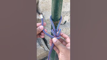 Dragon 🐲 Loop Knot 👌