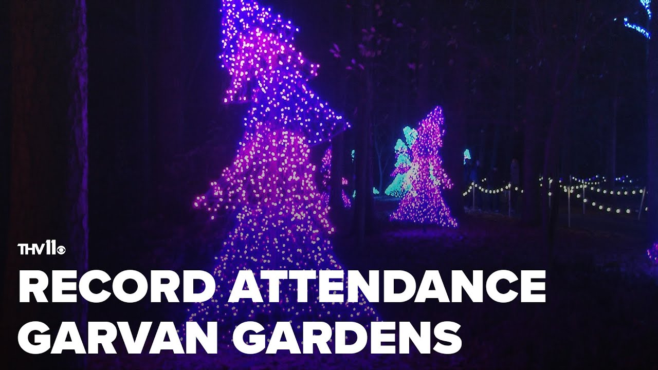 Record Attendance At Garvan Woodland Gardens Christmas Lights