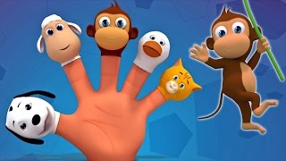 Животные палец семья | Дети учатся | Песня о животных | Finger Family Song | Animal Finger Family