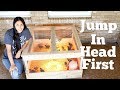 DIY CHICK BROODER