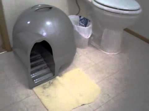 litter box with steps