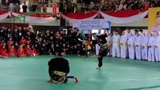 JURUS PEDANG WUSHU IKSPI SELUMA