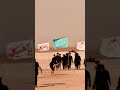 بالصور زوار الاربعين يواصلون المسير من اقصى جنوب العراق صوب كربلاء المقدسة بالصور زوار الاربعين يواصلون المسير من اقصى جنوب العراق صوب كربلاء المقدسة
