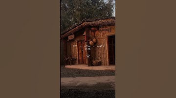 قران كريم| الشيخ ياسر الدوسري| سورة الزمر❤️🎧