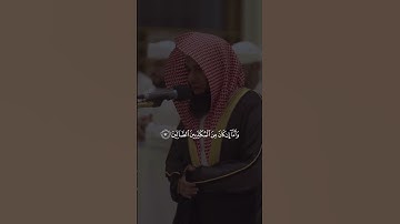 ماتيسر من سورة الواقعة القارئ انس العمادي #اكسبلور #peace #لايك #راحة_نفسية #تيك_توك #reminder #dosa