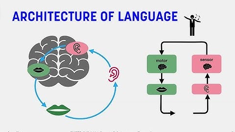 CARTA: The Role of Feedback in the Parallel Architecture of Language