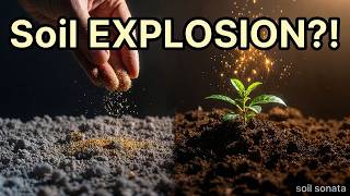 The Yeast Trick That Explodes Soil Microbes Overnight!