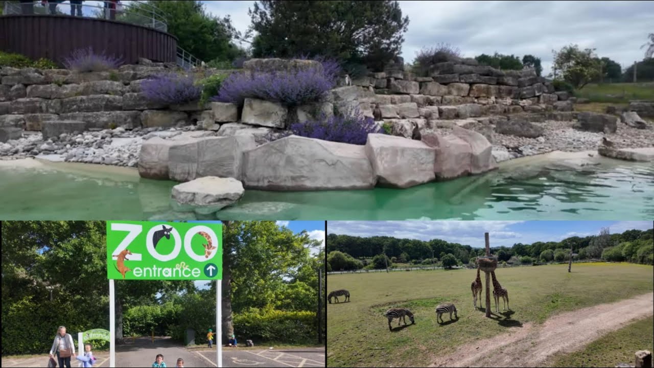 Marwell Zoo 4k