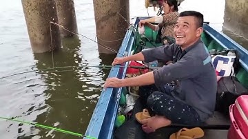Tổng Hợp Video Câu Cá Nâu Chân Trụ Cầu Cao Tốc || Đam mê câu cá