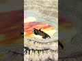 Cars vs Giant Lava Pit – Impossible. CRAZY Gimmick Pad Experiments With Cars/ EVERYTHING in BeamNG.