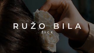 Video thumbnail of "ŽICE - Ružo bila"