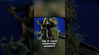 Treebeard the Terrifying