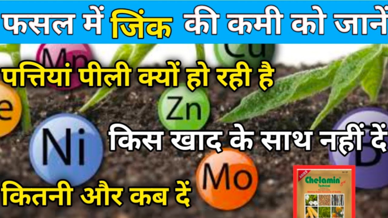 Zinc Sulphate How To Use Zinc Sulphate In Crop zinc dermaharmony-2-pyrithione-zinc-znp-liquid-castile-soap-10-fl-oz
