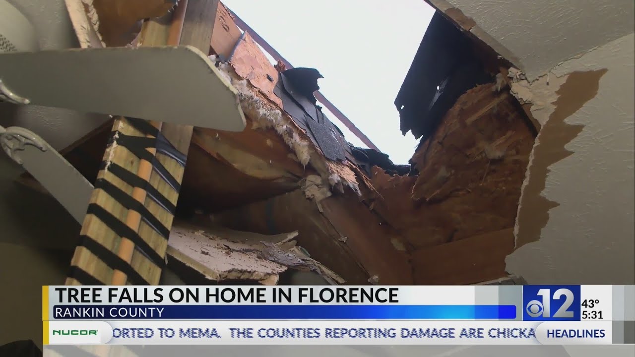 Storm causes damage, power outages in Mississippi - YouTube