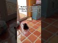 Wake me when it’s Friday #cats #cat #catlover #catlovers #catsofinstagram