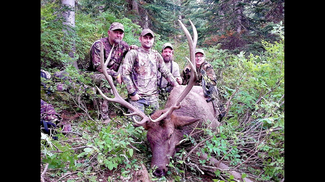 Elk Hunt 2013 Washington Archery Season YouTube