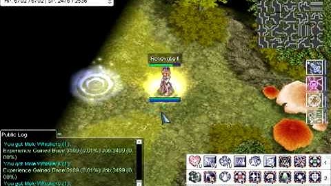 Ragnarok Online - 3rd Class skills,Arch Bishop