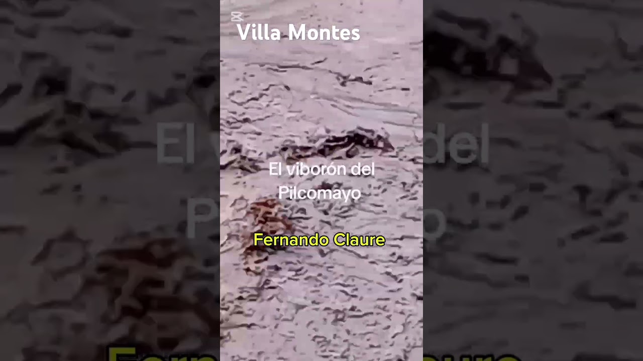 el viborón del Pilcomayo.