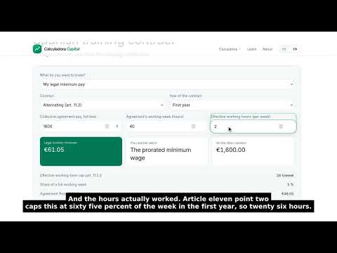 Spanish training contract