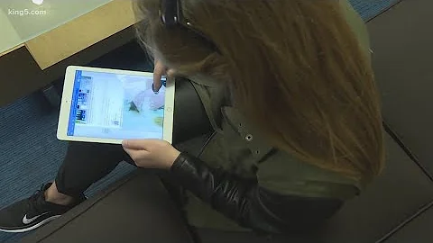 US Capitol siege 'not surprising' in era of disinformation, says UW professor