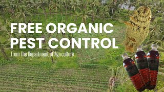 Free Organic Fertilizers from Department of Agriculture in the Philippines 😱 for Higher Income 🌸🌱