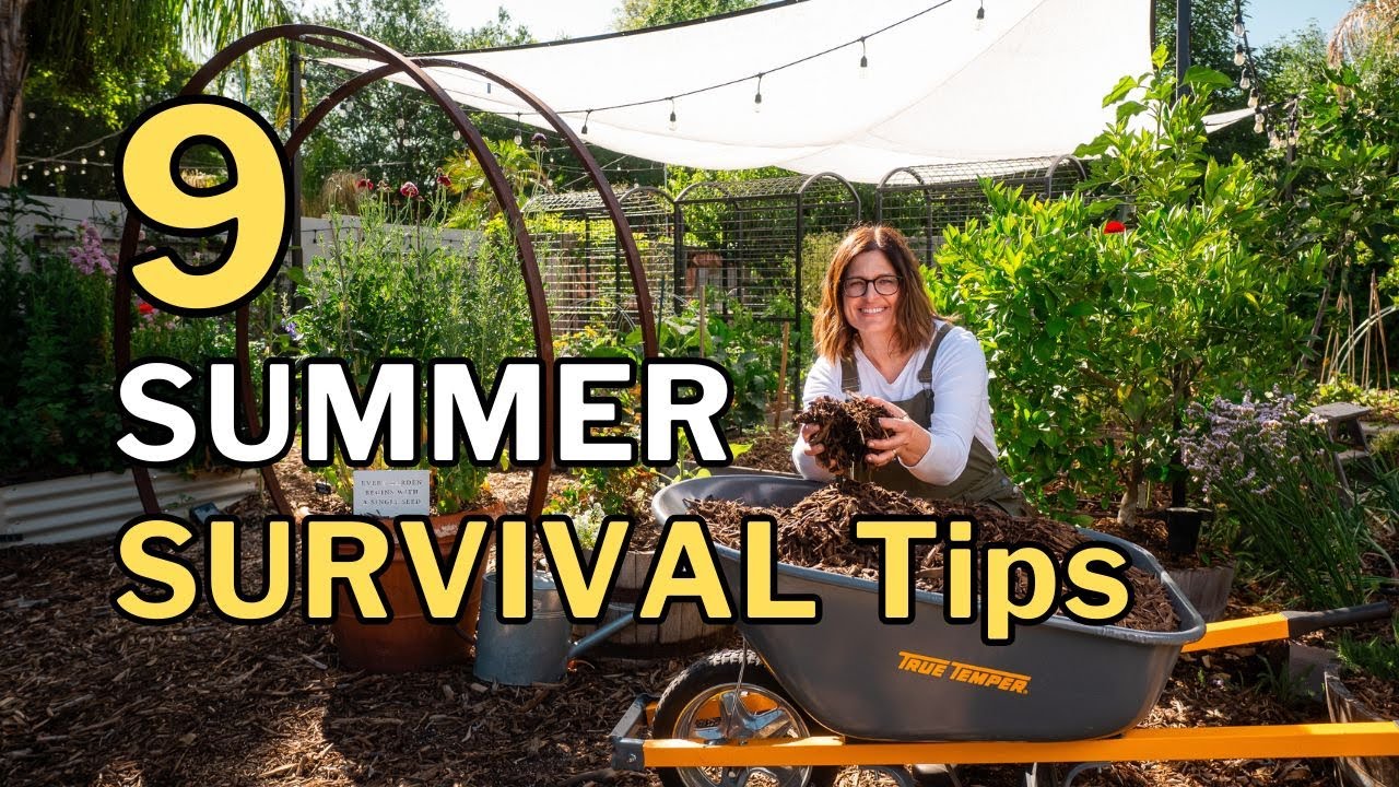 Keep Your Garden Alive in EXTREME HEAT: 9 Summer Survival Tips - YouTube