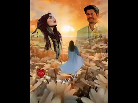 روح قلبي يا حياة أيامي