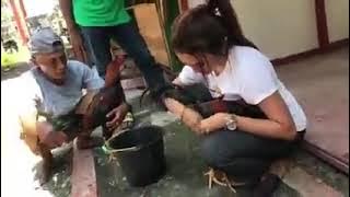 cewek cantik mandiin ayam