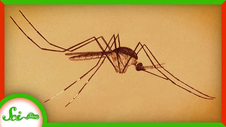 The Mosquito That Doesn’t Bite You, Even Though It Could - DayDayNews