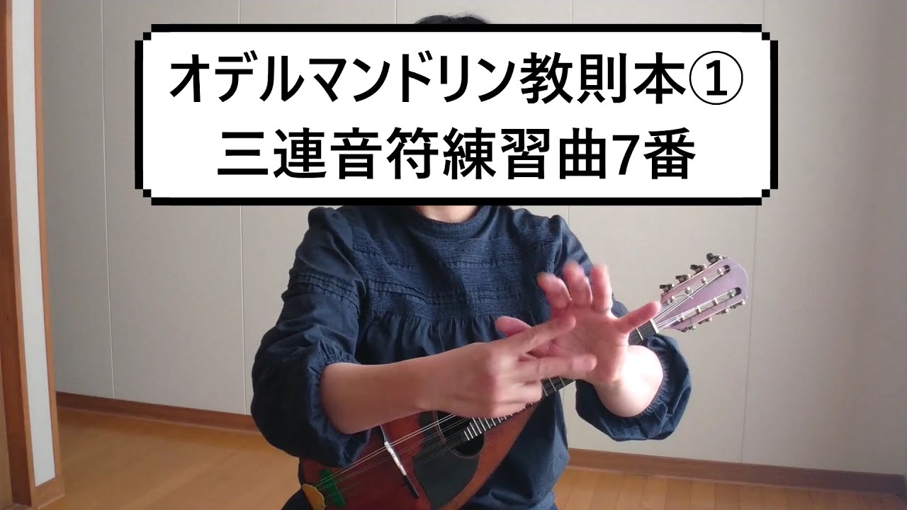 デビッドグリスマン　マンドリン教則カセット デヴィッド・グリスマン・クインテット『David Grisman Quintet