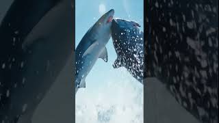 Too Graphic Shark Attack Caught In 8K Mako Strike Uncensored